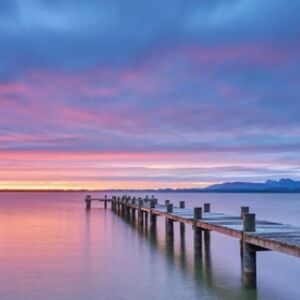 Meet your Posher, Bella